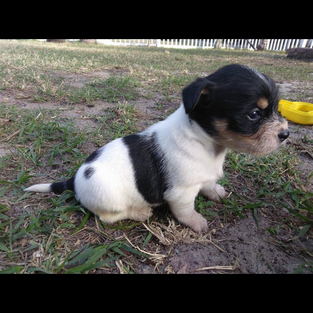 Meet your Posher, Ana